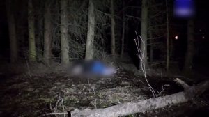 🇷🇺⚠️🇺🇦Уничтожен агент Киева, планировавший теракт в Подмосковье
🚨По указанию украинских…🔽