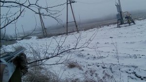 Охота на зайца 13.12.25