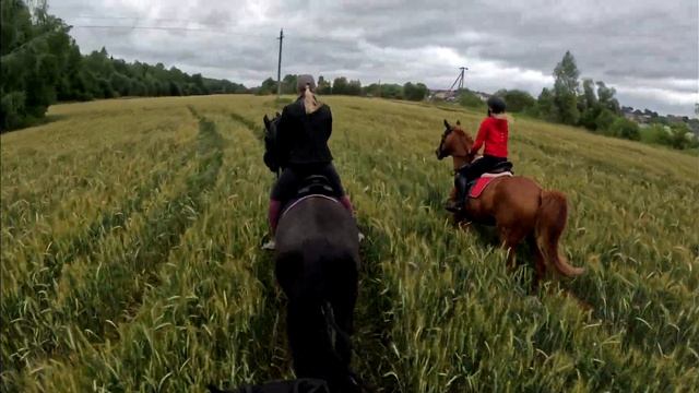 Коноблог - лето 2023