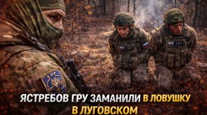 ястребов гур заманили в ловушку в луговском