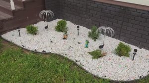 Красивая хвойная клумба своими руками