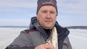 Закрытие зимнего сезона рыбалки с друзьями!