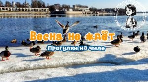 Весна на Волхове