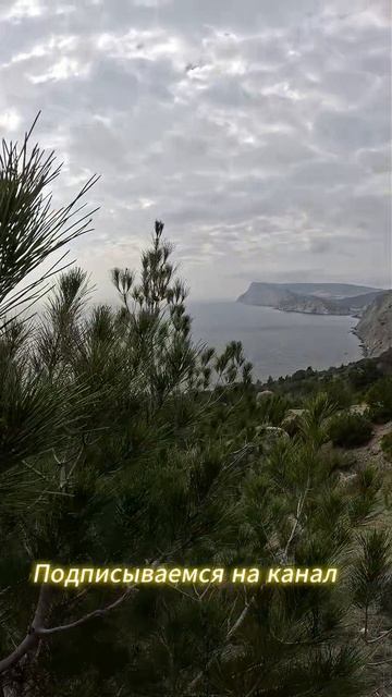 Бескрайнее Чёрное Море. Крым 2026.