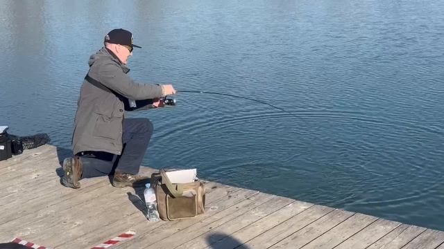 Проводка победителя (Mukai Pogo Vib)