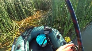 Караси огромные клюют. Рыбалка на природе. Как ловят карасей за границей.