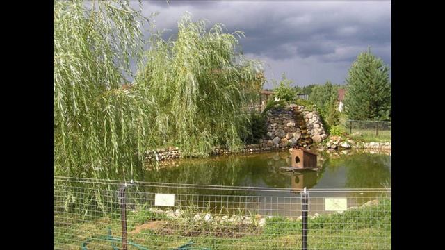 01748-Птичий питомник Воробьи_27.08.2010 г.