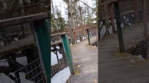 Лесной лабиринт "Дебри"
(ВСТРЕТИЛ ВОЛКА)