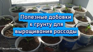 Полезные добавки к грунту для выращивания рассады