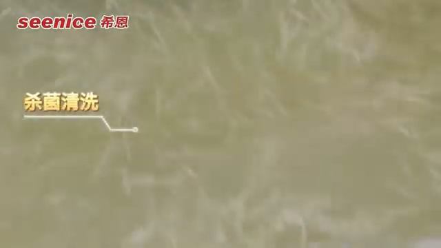 Линия для переработки  картофеля Seenice