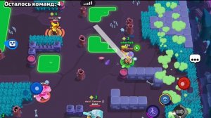 баз лайтер 2026