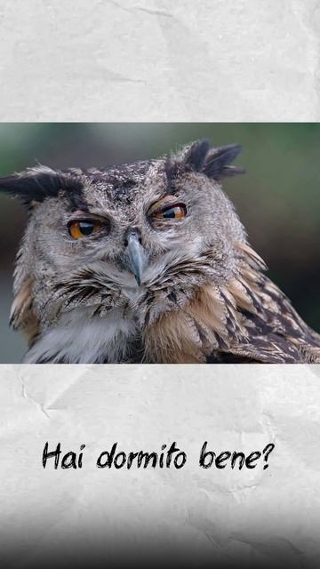 Примеры Passato Prossimo. Часть 3