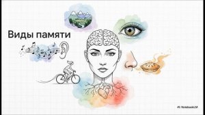 Биология 9 класс параграф 52 Память и внимание конспект