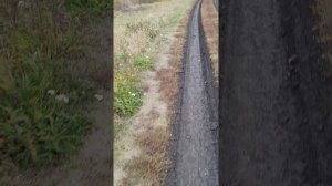 От теорий к практике проявления Творца и познания истинного себя