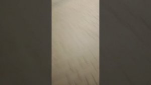 сидим в камерах 1час