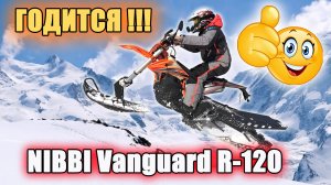 НЕ УДИВИЛ, НО ПОРАДОВАЛ! Гусеничный комплект NIBBI Vanguard R-120. Обзор и тест-драйв.