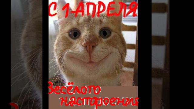 с 1 апреля😎
