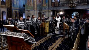 Кузбасский ковчег № 961