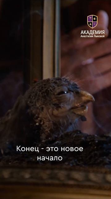 Подписывайтесь, чтобы смотреть больше информации о Таро🔥