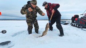 ОСТАВИЛИ ЖЕРЛИЦЫ НА НОЧЬ И ПРИШЕЛ УРАГАН. РАЗМЕТАЛО ФЛАЖКИ ПО ЛЬДУ НО НАЛИМЫ КЛЮНУЛИ. СМ-003 везет.