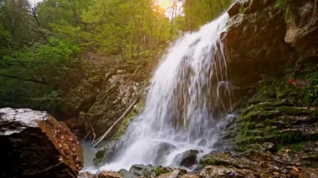 285 б  Исцеление Органов и Тканей