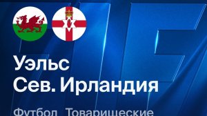 Уэльс — Северная Ирландия. Обзор матча