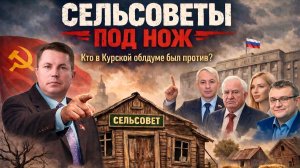 Сельсоветы под нож. Кто в Курской облдуме действительно был против?