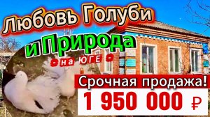 🏡 Документы готовы к сделке📌67.3 м2🦯50 соток🦯1 950 000 ₽🦯х. Куликовский🦯89245404992 Виктор С🌴