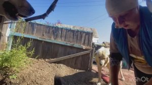 Не рви мне душу ,наливай