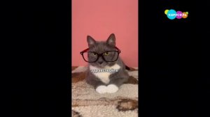 фрагмент эфира Карусель Сырчания 01.04.2026 21:10-21:28 (по Солнечноградскому времени)