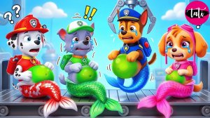 Щенячий патруль и Маршалл. Залипательное видео. Мультфильм для детей и малышей. Анимация 349