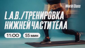 ТРЕНИРОВКА НИЖНЕЙ ЧАСТИ ТЕЛА с Еленой Дубас | 4 апреля 2026 | Онлайн-тренировки World Class