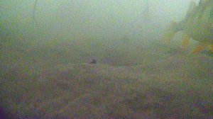 Когда не клюёт и ты думаешь что рыбы нет, а на самом деле..