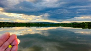 Рыбалка на Карася на Флэт Пружину