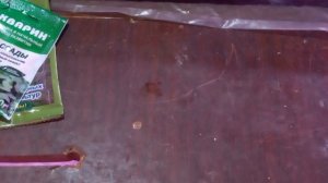 КОМПЛЕКСНОЕ УДОБРЕНИЯ ДЛЯ ОГУРЦОВ.