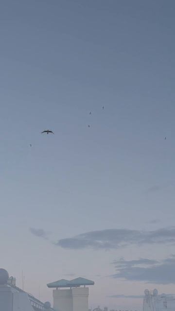 Свадебное платье Бенье из коллекции «Я подарю тебе счастье» 2026 от бренда Дивино Роуз