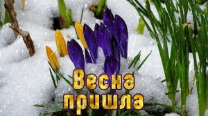 Футаж. Весна пришла 23