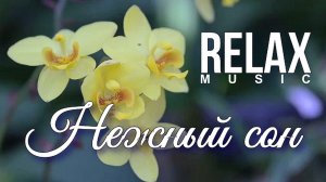 🌺 RELAX I НЕЖНОСТЬ ЦВЕТОВ И ЗВУКИ ПИАНИНО — МУЗЫКА ДЛЯ СНА, РАССЛАБЛЕНИЯ И ГАРМОНИИ ДУШИ