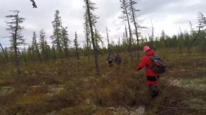 Это кони,а не рыбы. О такой рыбе я мечтал долгие годы