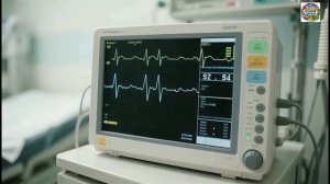 День ЭКГ! Хвост одеревенел, но результаты выявили спортивный талант