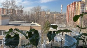 Вы знаете что мы братья и сестры, не одели портки, час общения, перевалка фасоли, вкусный обед