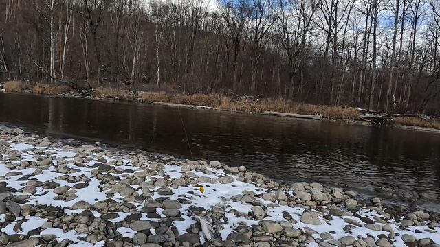 Ленок на мушку осенью