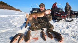 РЫБАЛКА НА ЖЕРЛИЦЫ. ЛОВЛЯ НАЛИМА И ЩУКИ НА РЕКЕ ВЕСНОЙ. САМАЯ МОЩНАЯ РЫБАЛКА ЗА ГОДА.