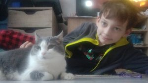 ОТВЕЧАЮ НА ВОПРОСЫ