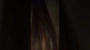 бешеные домовые и чупакабры на чердаке