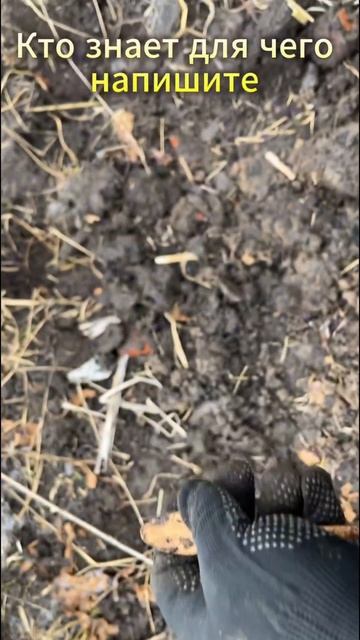 #metaldetecting #noktalegend #приборныйпоиск #коп #заброшка #клад #приключения