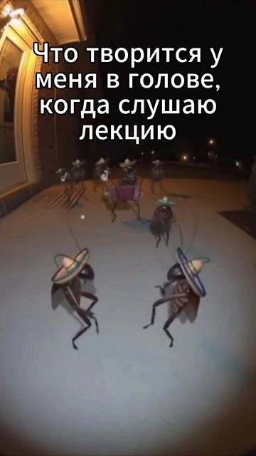 Ну почему так, блин! #учеба #мем