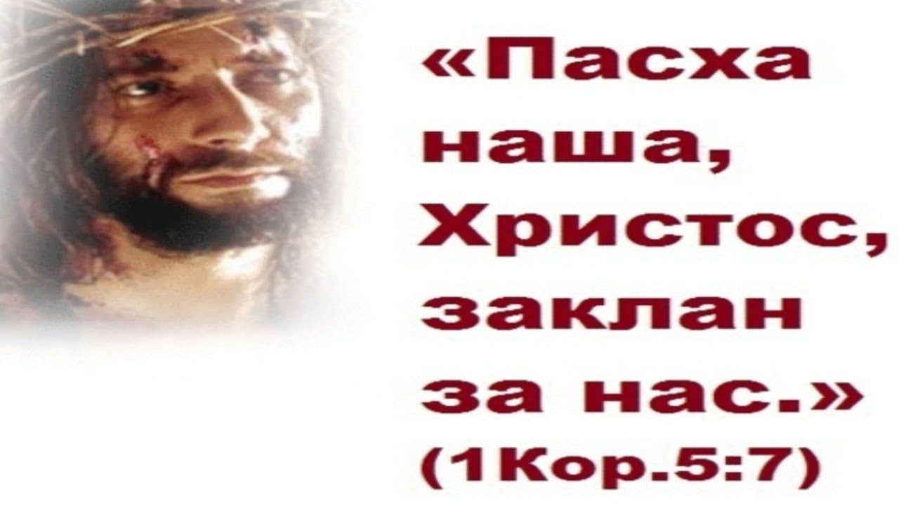 Пасха наша Христос !