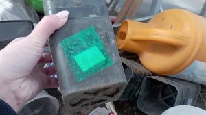 29.03.2026-30.03.2026. Обработка деревьев/пикировка и пересадка томатов.