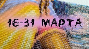 6/2026, 16-31 марта. Продвижения, минифиниш, суккулентная минутка